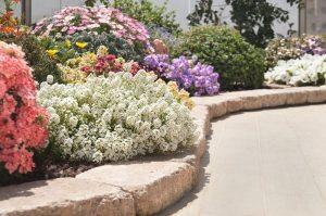 Read more about the article טיפים לבחירת מעקה גינה