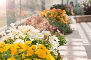 Read more about the article גינה ירוקה בתוך מרפסת ביתכם