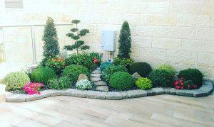 Read more about the article עיצוב גינות לבנייני מגורים