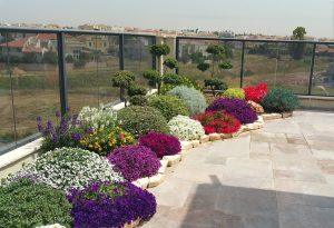 Read more about the article בואו לעצב גינת חלומות באיגלו גרדן!