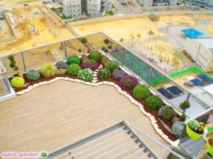Read more about the article 4 שיטות להפטר מטרמיטים בגינות גג