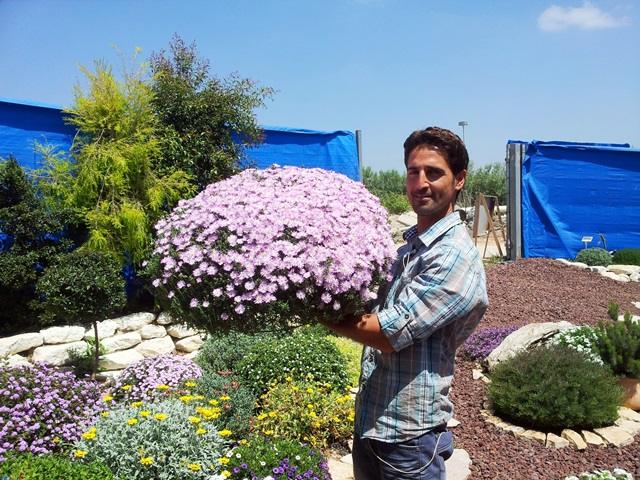 איגלו גארדן גונות גג